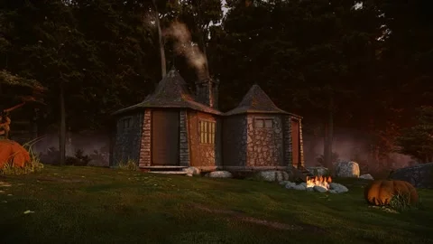 Hagrid Hut in the forrest Stock Footage 220449476