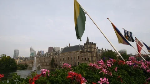 The Hague flags pan left flowers in foreground 動画素材 101863113