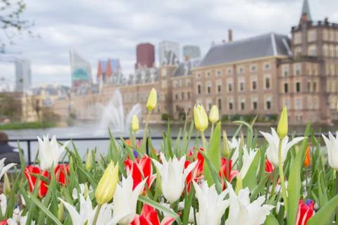 The hague. Stock Photos