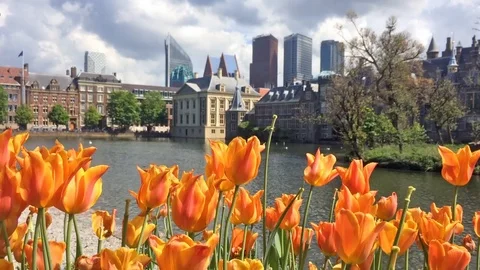 The Hague with tulips 動画素材 109408203