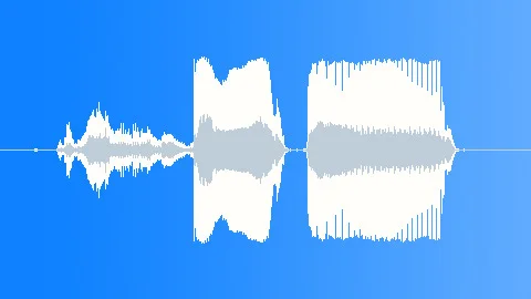 'Haha!' Mocking 2 ~ Sound Clip Royalty Free #250164293