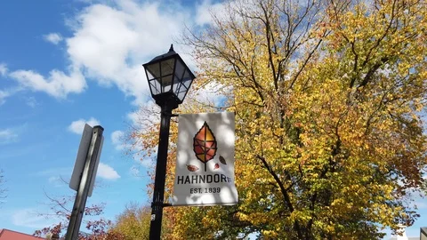 Hahndorf logo 库存影片 111500937