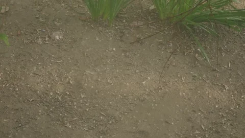 Hail and sleet fall on ground during storm in outdoor setting 動画素材 347200720