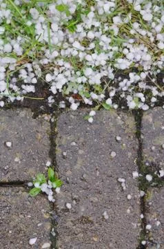 Hail balls Stock Photos