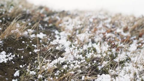 Hail fall on the grass, small hail close up. Storm in iceland Stock Footage 134981881