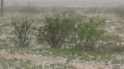 Hail fall - Storm - Day - Ground level Stock Footage 80179397