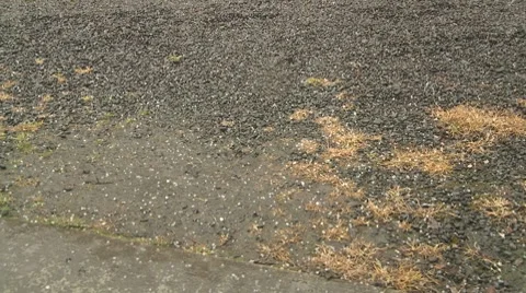 Hail falling Stock-Footage 8763202