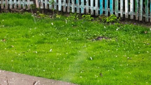 Hail falling on the green lawn at the backyard Stock Footage 326676251