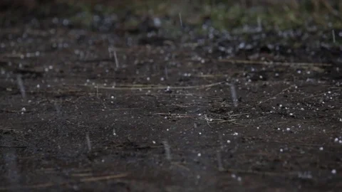 Hail falls on the black soil Stock-Footage 73629161