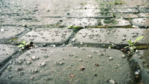 Hail falls on the cobblestones Stock Footage 273289169