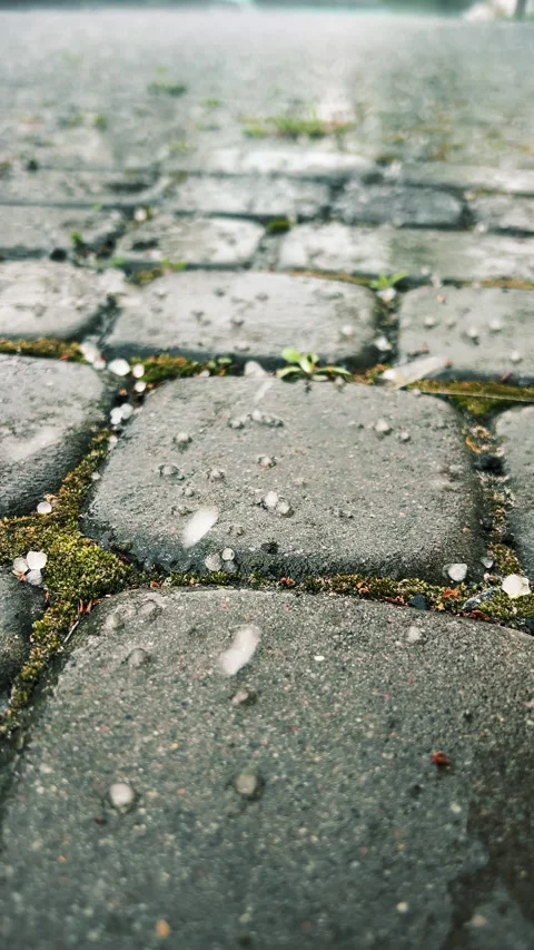 Hail falls on the cobblestones Stock Footage 273289283