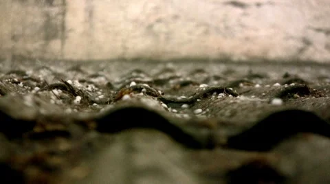 Hail 스톡 동영상 7906173