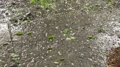 Hail Stock Footage 155366084