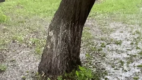 Hail Stock Footage 155366085