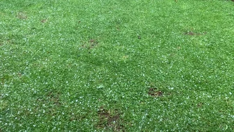 Hail on grass Stock Footage 255653047