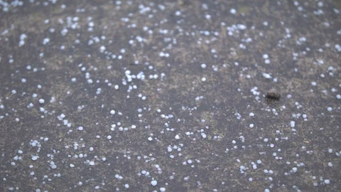 Hail Hitting the Sidewalk Stock Footage 104259543