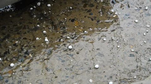Hail ice balls Stock Footage 7736890