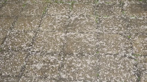 Hail large amount of grains of ice. A storm in the city. 스톡 동영상 90182589