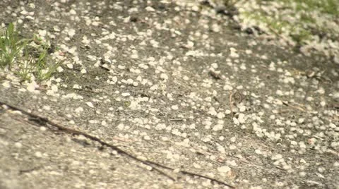 Hail on the Pavement Video stock 20435488