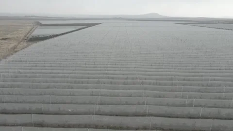 Hail protection nets in the field 12 Video stock 330803635