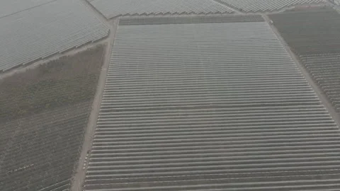 Hail protection nets in the field 15 Video stock 330803761