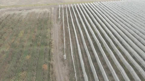 Hail protection nets in the field 4 Stock Footage 330803463