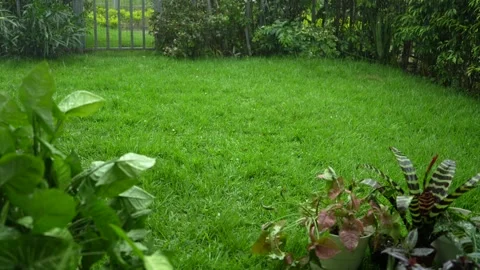 Hail Rain From the Sky Dropping on Grass Backyard. Slow Motion Stock Footage 277400532