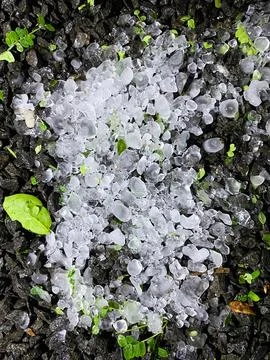 Hail on the stone path Stock Photos