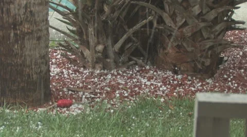 Hail Storm in Florida Clip 3 Stock Footage