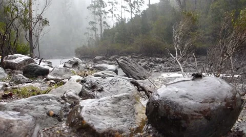 Hail storm Stock Footage 46465304