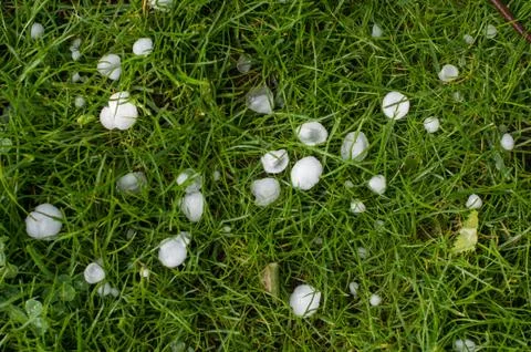 Hail storm Stock Photos