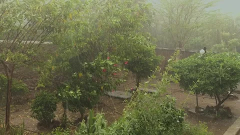 A hail storm with wind and rain in madhya pradesh india Stock Footage 340041871