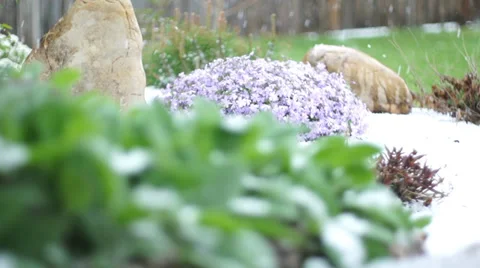 Hail super slow motion rack focus Stock Footage 37792338