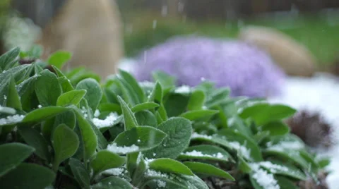 Hail super slow motion tight Vídeos de archivo 37792337