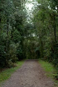 Hail Trail 写真素材