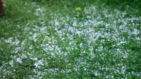 Hailing Stock Footage 12271233