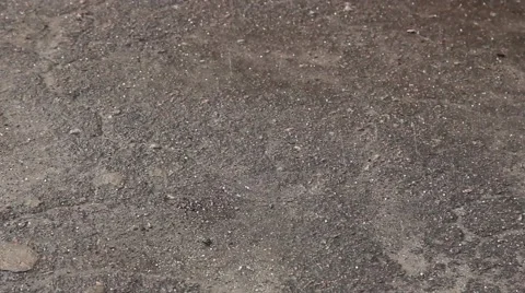 Hailstone on the ground Stock Footage 50374886