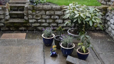 Hailstorm Stock Footage 74923436