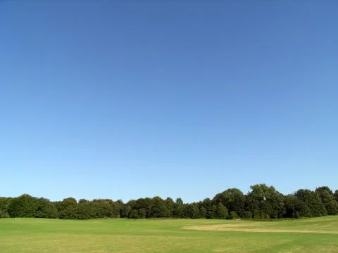 Hainault Forest View Stock Photos