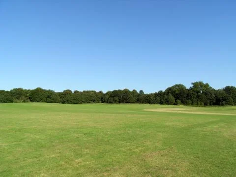 Hainault Forest View Stock Photos