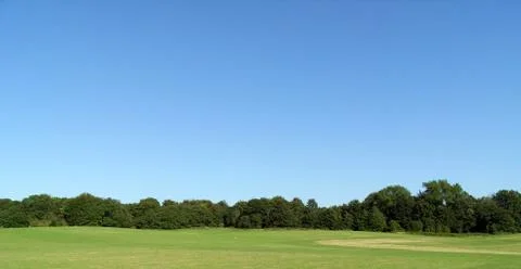 Hainault Forest View Stock Photos