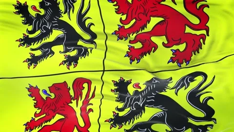 Hainaut flag waving in the wind 動画素材 134903259
