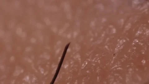 Hair 3 Video stock 326352629