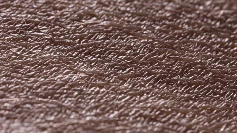 Hair a 3 Video stock 326352844