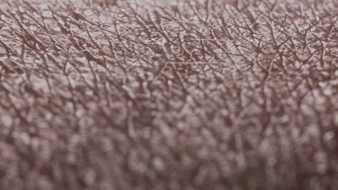 Hair a 7 Stock Footage 326352886