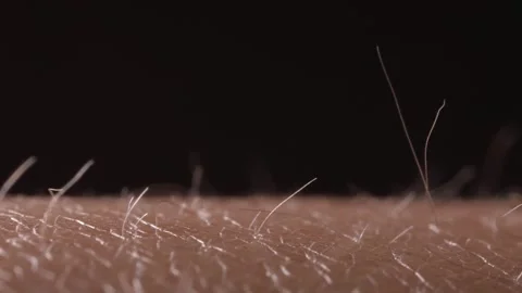 Hair b 1 Video stock 326352856