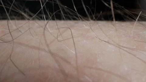 Hair on body Stock Footage 236992443