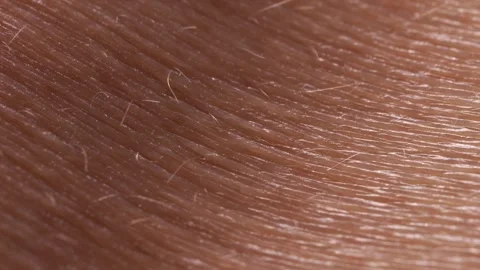 Hair c 5 Stock Footage 326352887