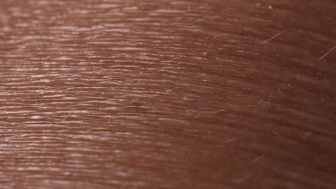 Hair c 6 Video stock 326352955