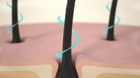 Hair care, hair growth oil drop to root, Animation Nourish hair action of shampo Stock Footage 227080184